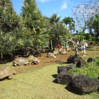 фото из отзыва ID 573099