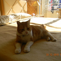 фото из отзыва ID 573244