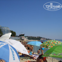 фото из отзыва ID 573617