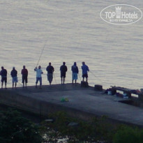 фото из отзыва ID 573617