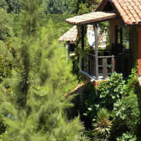 фото из отзыва ID 573782