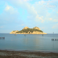 фото из отзыва ID 573582