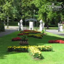 фото из отзыва ID 573879