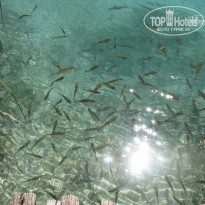 фото из отзыва ID 573868