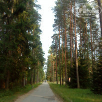 фото из отзыва ID 574026