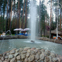 фото из отзыва ID 574026