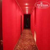 фото из отзыва ID 574216