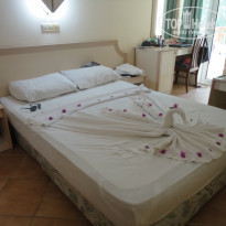 фото из отзыва ID 574368