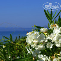 фото из отзыва ID 574190