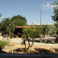 фото из отзыва ID 574352