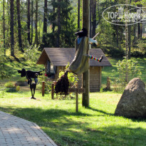 фото из отзыва ID 575439