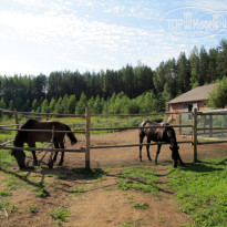 фото из отзыва ID 575439