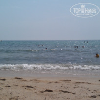 фото из отзыва ID 575583