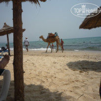 фото из отзыва ID 575583