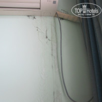 фото из отзыва ID 575715