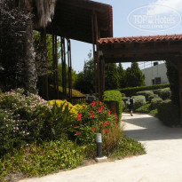 фото из отзыва ID 575055