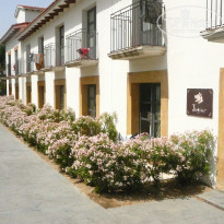 фото из отзыва ID 575055