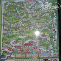 фото из отзыва ID 576413