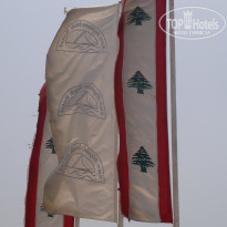 фото из отзыва ID 576455