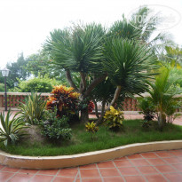 фото из отзыва ID 576377