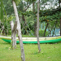 фото из отзыва ID 576377