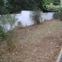 фото из отзыва ID 576634