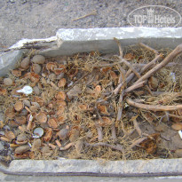 фото из отзыва ID 576634