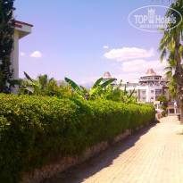 фото из отзыва ID 577061