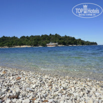 фото из отзыва ID 577092