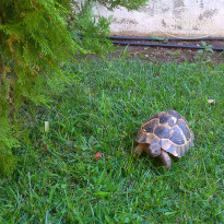 фото из отзыва ID 577306