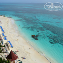 фото из отзыва ID 577362