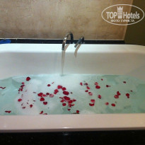 фото из отзыва ID 577599