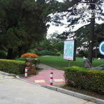 фото из отзыва ID 577688