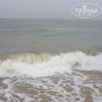 фото из отзыва ID 577688