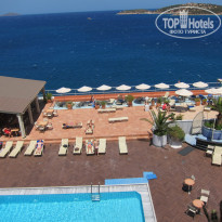 фото из отзыва ID 577929