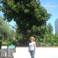 фото из отзыва ID 578944