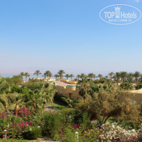 фото из отзыва ID 578026