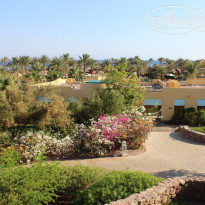 фото из отзыва ID 578026