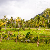 фото из отзыва ID 578164