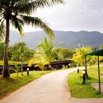 фото из отзыва ID 578164