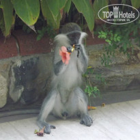 фото из отзыва ID 578232