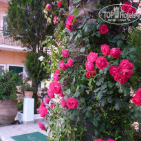 фото из отзыва ID 578248