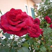 фото из отзыва ID 578248