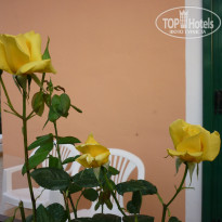 фото из отзыва ID 578248