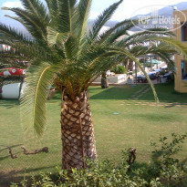 фото из отзыва ID 578600