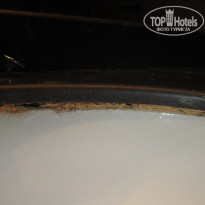 фото из отзыва ID 578611