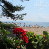 фото из отзыва ID 578804