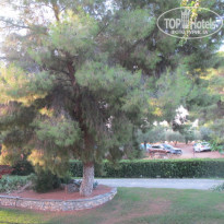 фото из отзыва ID 578804