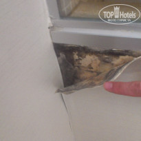 фото из отзыва ID 579252