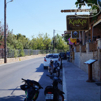 фото из отзыва ID 579574